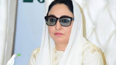 Darakhshan Andrabi Biography