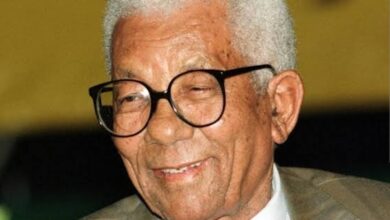 Walter Sisulu Biography