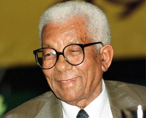 Walter Sisulu Biography